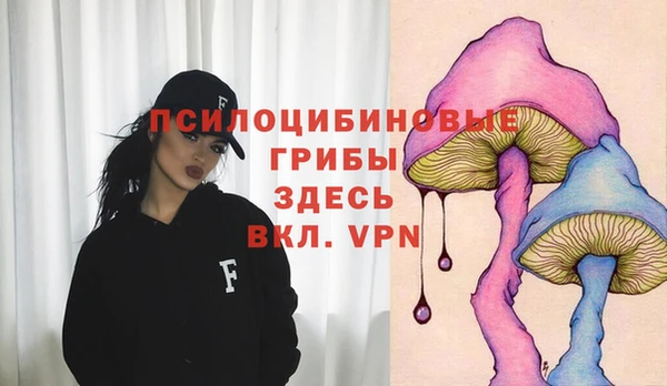 шишки Покровск